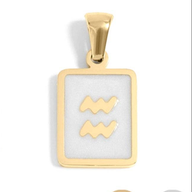 Zodiac Aquarius Charm - C226