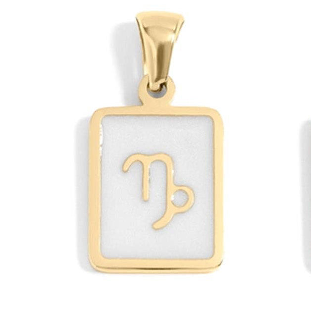 Zodiac Capricorn Charm - C216