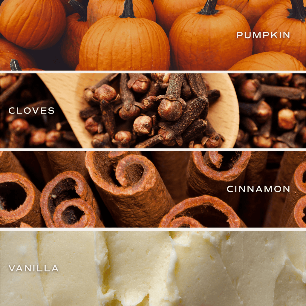 Pumpkin Spice 12 oz Boxed Soy Candle - CPS