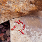 Red Hot Chili Pepper Charm - C146