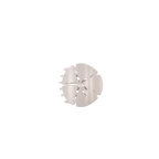 Sand Dollar | Tiny | Flat Shape Hair Clip