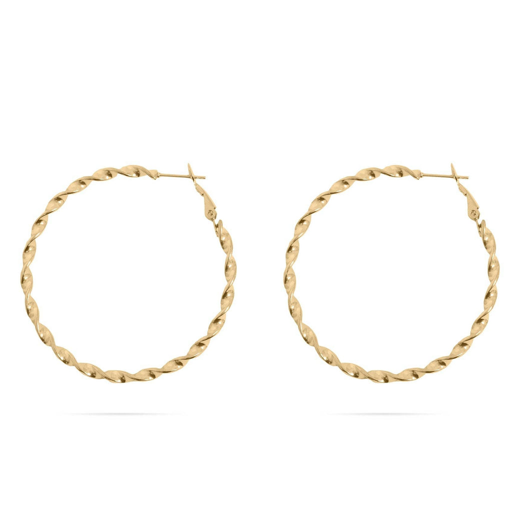 Twist Hoop (Small) Earrings - E98