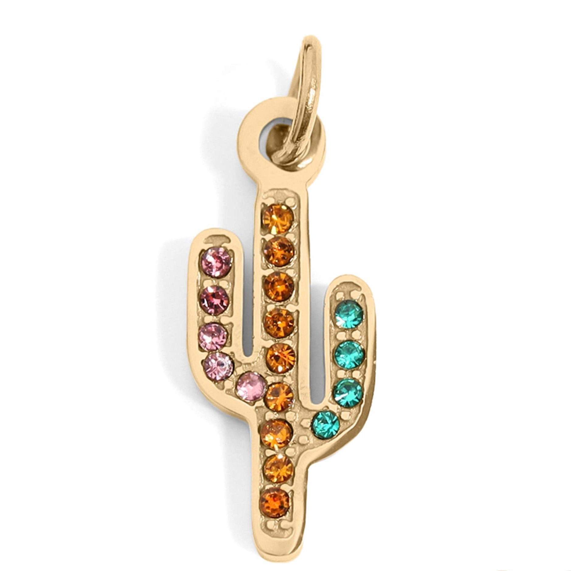 Desert Spark Cactus Charm - C130