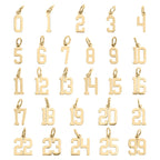 Lucky Number Charm - C137