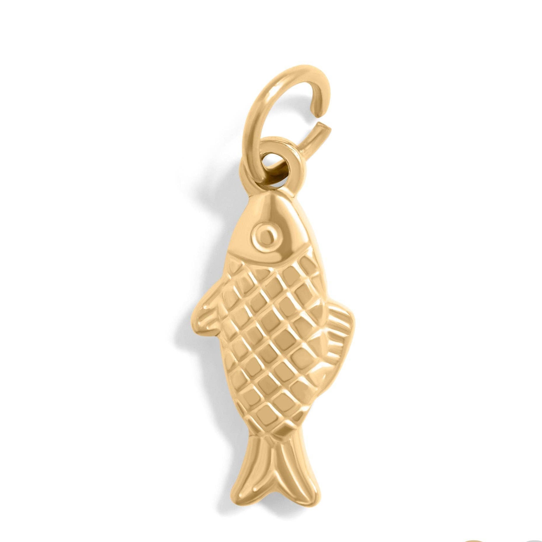 Whimsical Fish Charm - C330
