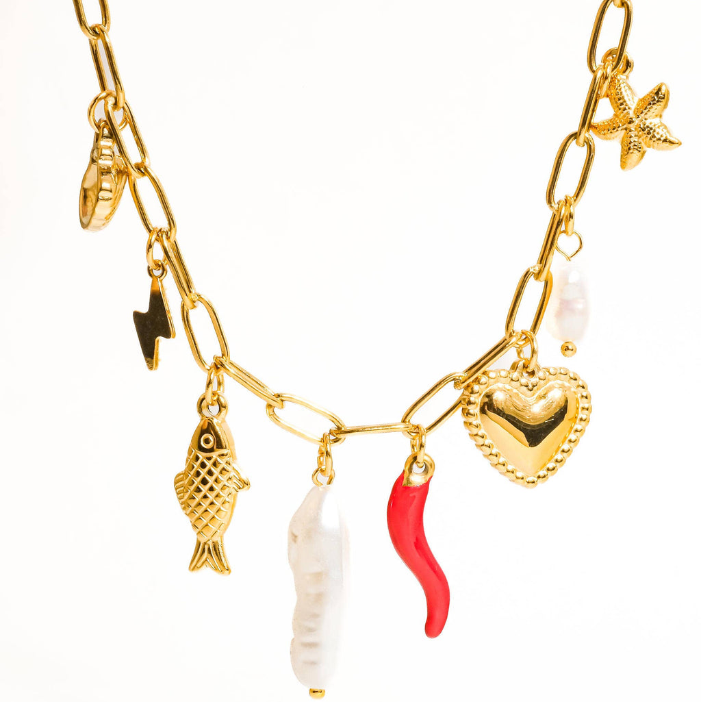 Spicy Charm Necklace: N25