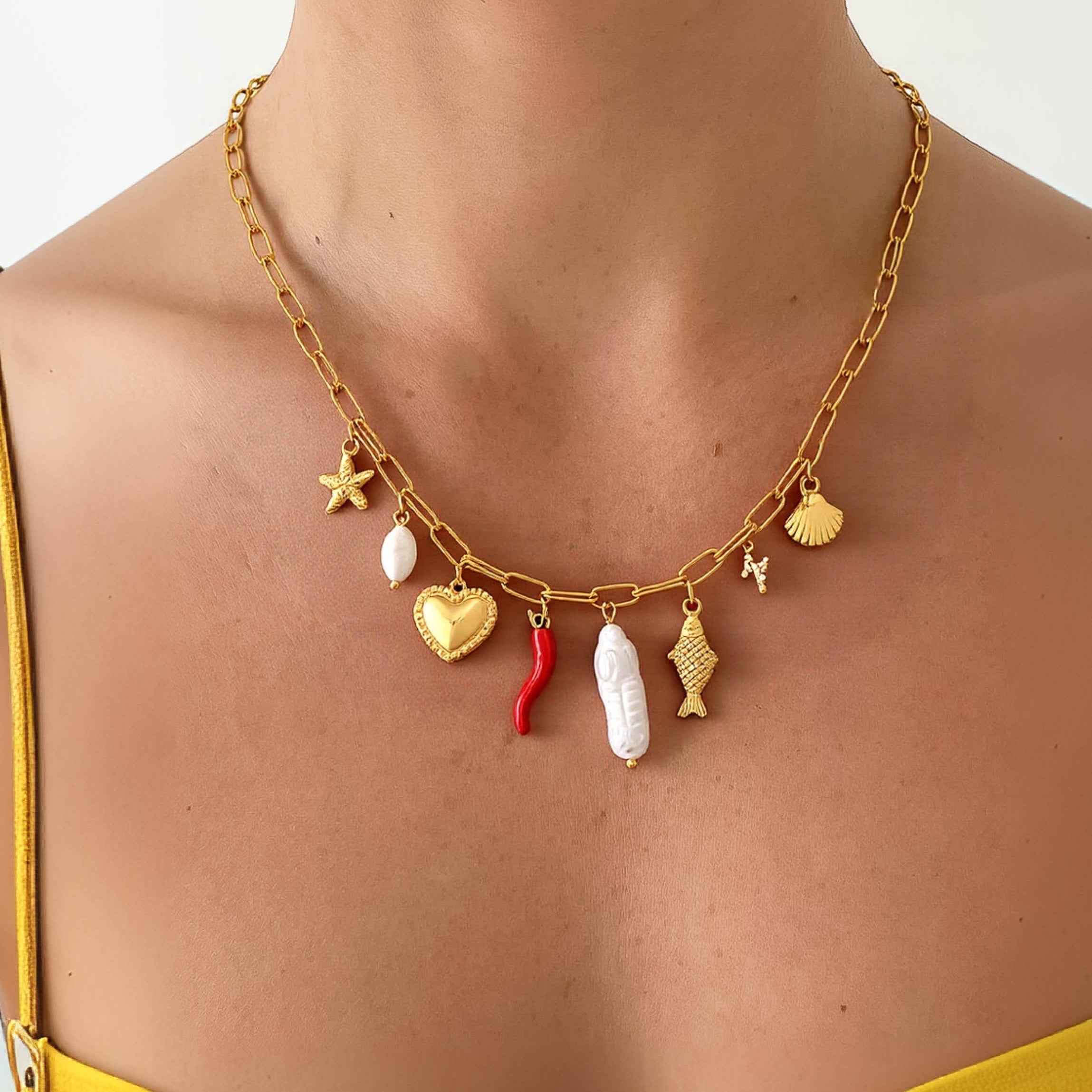 Spicy Charm Necklace: N25