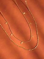 Layered Tassel Necklace - N100