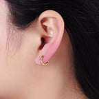 Golden Hour Huggie Earrings - E17