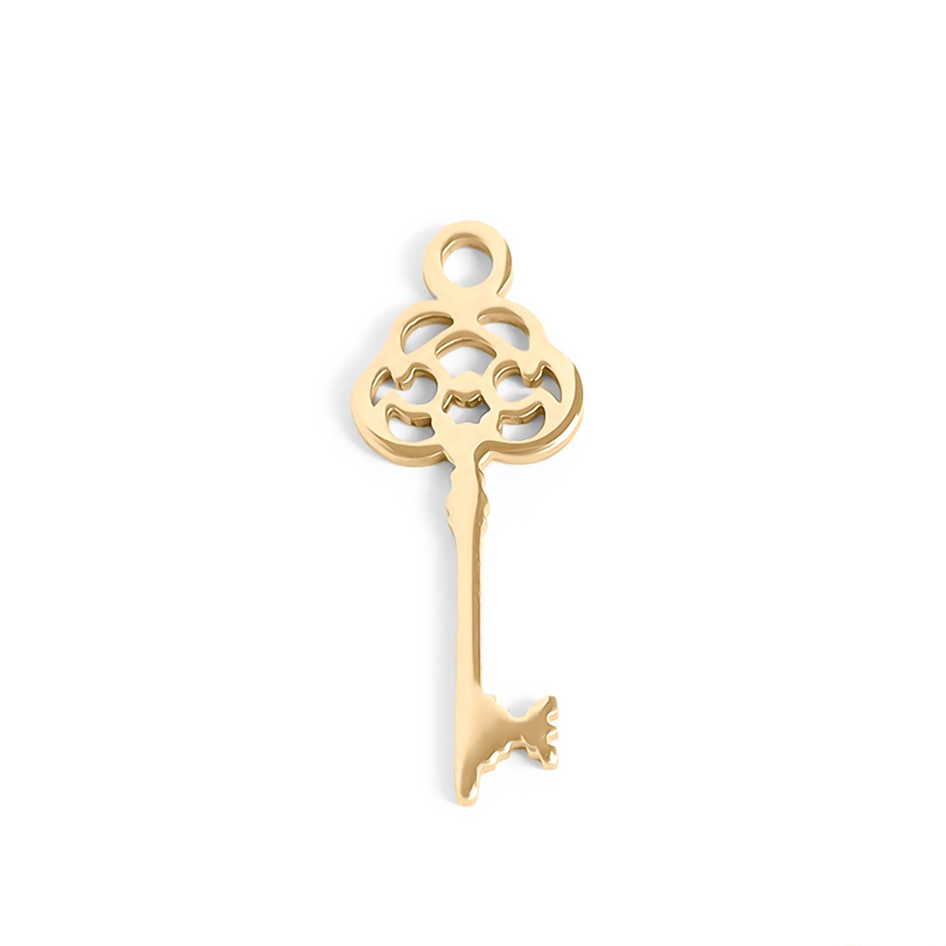 Enchanted Key Charm - C324