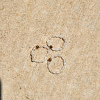 Freshwater Pearl Stretchy Ring - B33