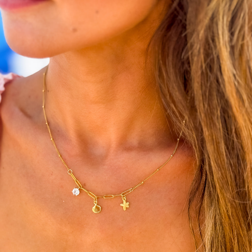 Golden Coast Necklace - N45