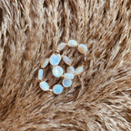 Mini Shell Ring  - B20