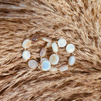 Mini Shell Ring  - B20