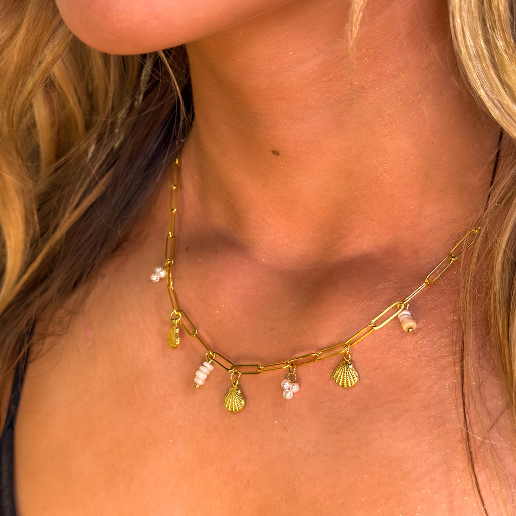 Shoreline Shine Charm Necklace - N47