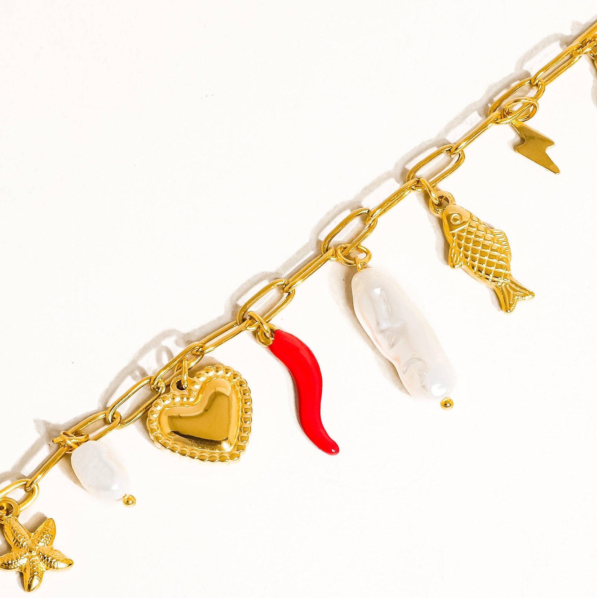 Spicy Charm Necklace: N25