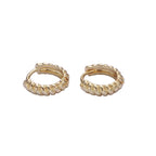 Tropic Twirl Huggie Earrings - E16