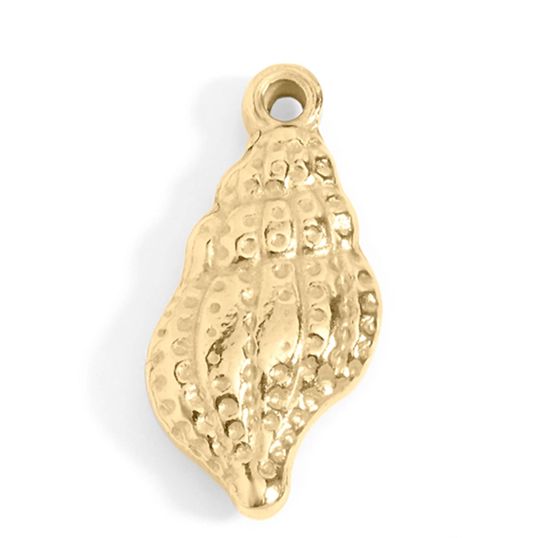 Coastal Shell Charm - C33